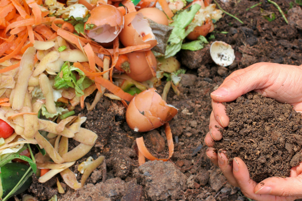 Guia prático de compostagem em varandas: transforme seus resíduos em ouro para as plantas