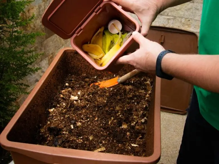 Como se organizar para fazer a compostagem parte do seu dia a dia